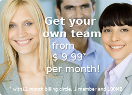Get your own team from $ 9.99* per month!